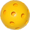 Pickleball Ball Image